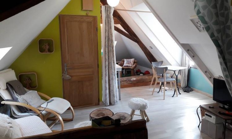 Chambre oiseau à Aix-les-Bains